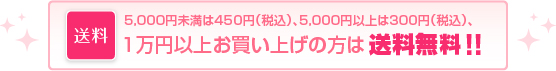送料　5,000円未満は450円（税込）、5,000円以上は300円（税込）、1万円以上お買い上げの方は送料無料！！