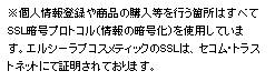 セコムセキュリティ