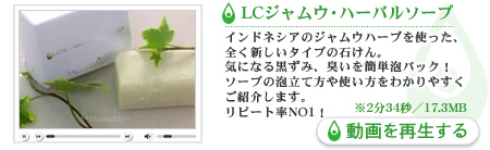�W�����E�\�[�v�̎g����������