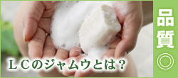 �W�����E�Ƃ́H�i���́H