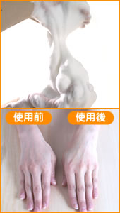 �{���G���@�����т���F���݂���@�A�Ɣ�r