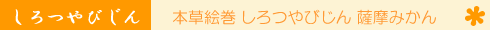 �ΎR�D�Ό��m�{���G�� �����т���F���݂���n�̃��S