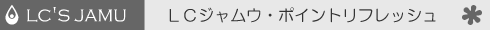 �k�b�W�����E�E�|�C���g���t���b�V��