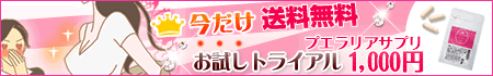 【薬事】カテゴリ|バストケア【上】プエサプリ