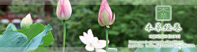 ���{�̃n�[�u�@�{���G���V���[�Y