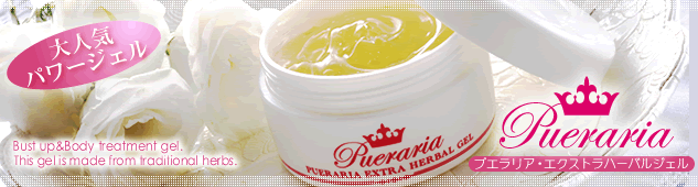 �v�G�����A�@�ʔ�