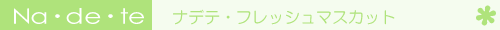 �i�f�e�E�t���b�V���}�X�J�b�g�i�w�A�P�A�E�I�C���j