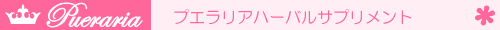 �v�G�����A�E�n�[�o���T�v�������g