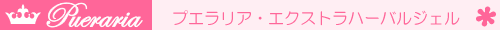 �v�G�����A�G�N�X�g���n�[�o���W�F��