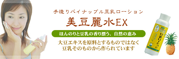 �������[�V�����̔̔��̃^�C�g��