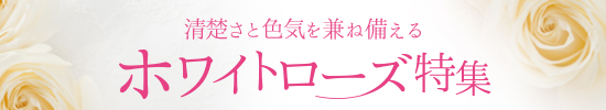 ホワイトローズ