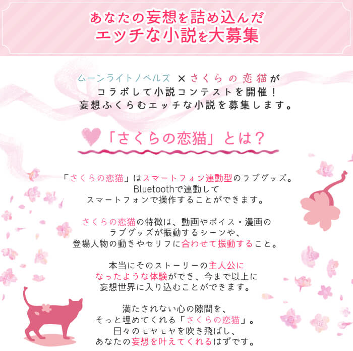 第1回 エッチな妄想小説コンテスト概要