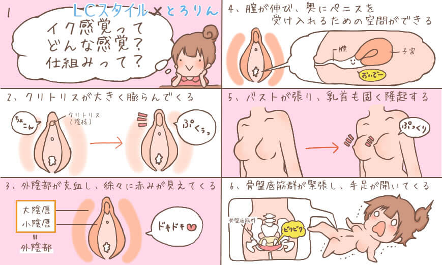 イク感覚、仕組みがわかる画像