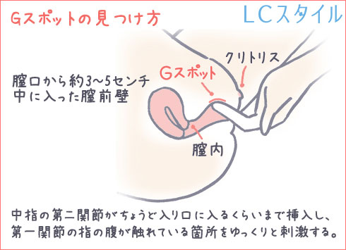 Gスポットの位置がわかるイラスト
