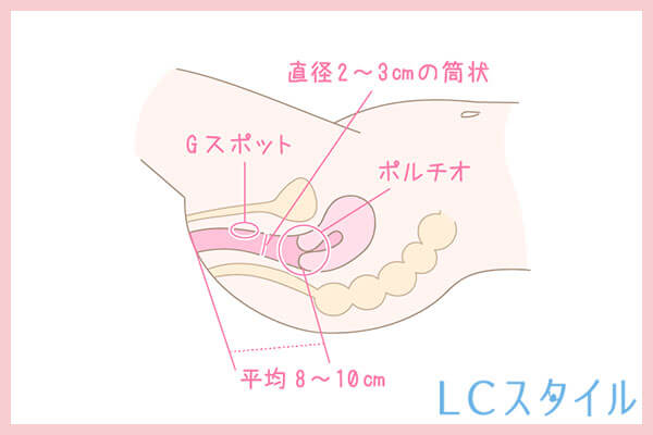 ポルチオの位置がわかるイラスト画像