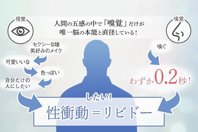 五感イラスト
