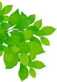 葉のイラスト