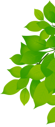 葉のイラスト
