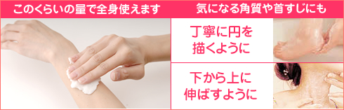 フェロモンボディ