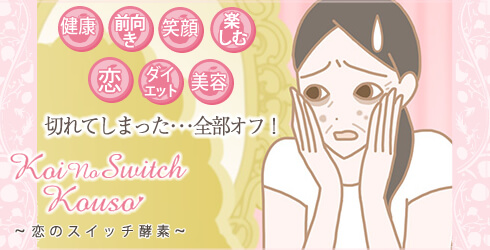 酵素ドリンク|スイッチがオン、オフの女性