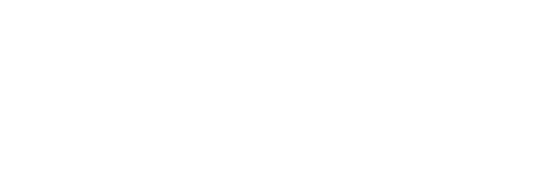 リビドーロゼ ハナビラ