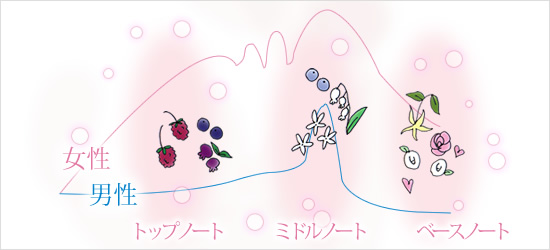 香りの変化図解