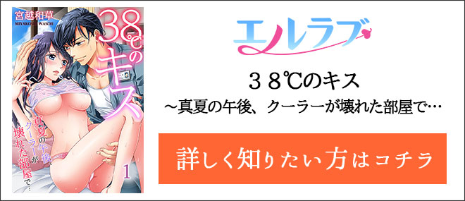 ３８℃のキス〜真夏の午後、クーラーが壊れた部屋で…作品紹介