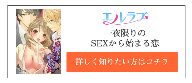一夜限りのSEXから始まる恋作品紹介