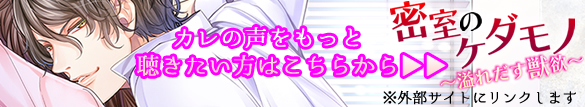 ポケットドラマＣＤ