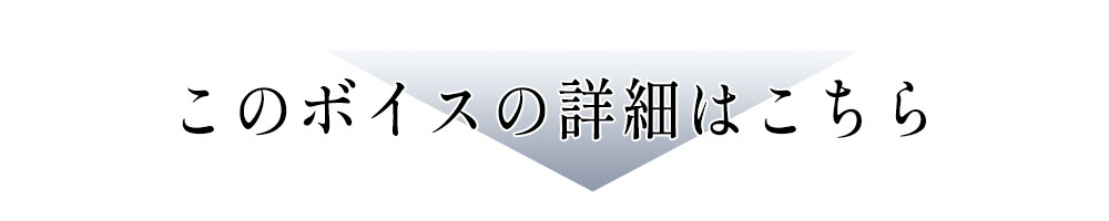 このボイスの続きは…