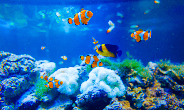 水族館