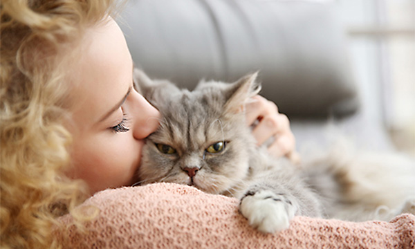 猫と戯れる女性