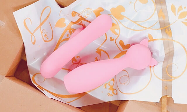 段ボールに入った恋猫