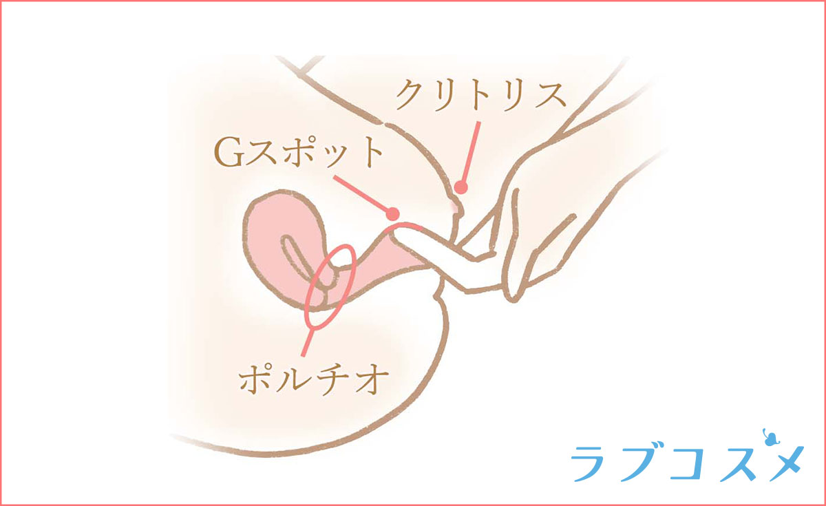 Gスポットとポルチオの位置