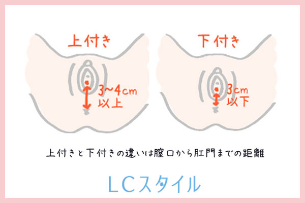 女性器の上付き・下付きがわかる画像