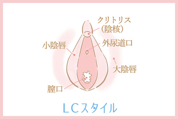 女性器の構造：クリトリスの大きさと形状