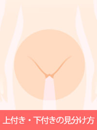 畷Ȃ̍\ɂāBttm@