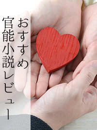 おすすめ官能小説レビュー