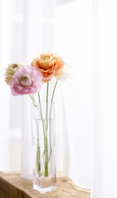官能小説;花瓶の花