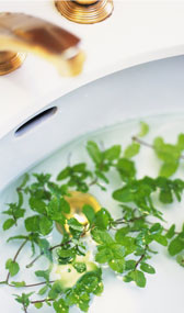 洗面台に浮かぶ植物