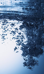 水泡の写真