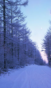 官能小説;雪景色