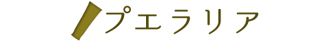 プエラリア