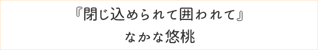 閉じ込められて囲われて	なかな悠桃
