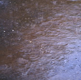 官能小説;激しい雨